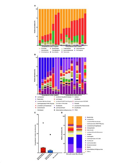 Taxonomic Composition Of The Gut Microbiota Of Wild Mice Taxonomy