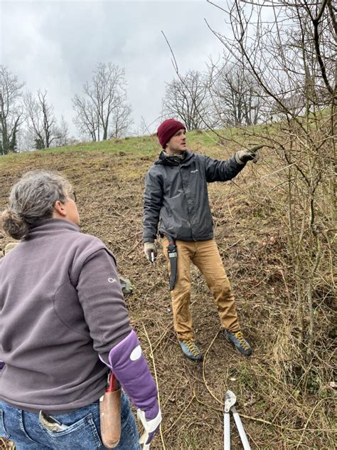 Motiviert am Wildsträucher Schnittkurs Verein PRO RIET Rheintal