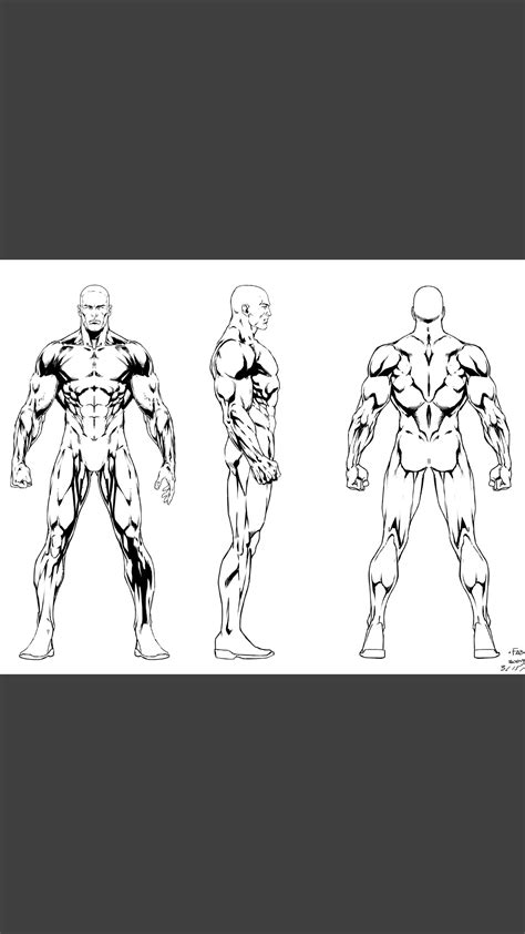 Comic Character Anatomy Reference Human Anatomy Art Comic Book Art