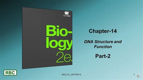 Chapter 14 Dna Structure And Function Part 2 Youtube