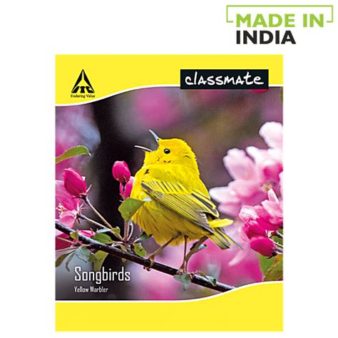 Buy Classmate Notebook Unruled 190 Mm X 155 Mm Small 172 Pages Online At Best Price Of Rs