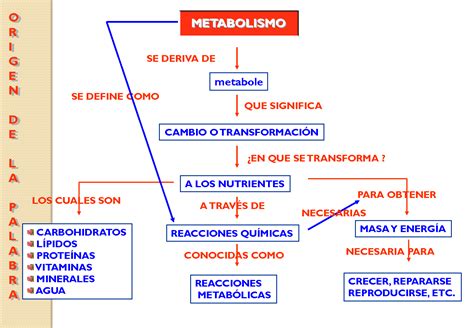 Solution Metabolismo Microbiano Y Nutrici N Studypool