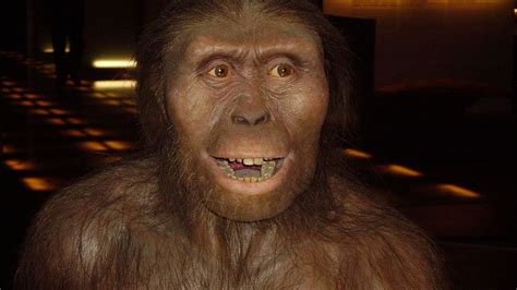 Modern Apes May Be Smarter Than Our Australopithecus Ancestors IFLScience