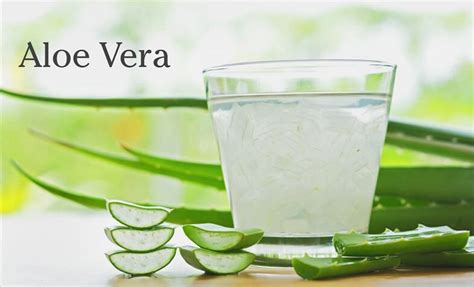 Reasons To Add Aloe Vera To Your Beauty Routine