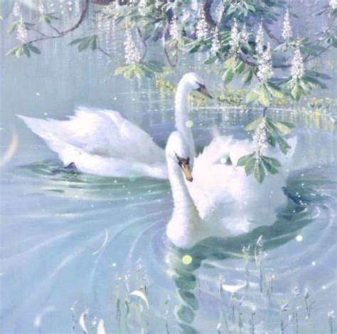 Two White Swans Swimming In The Water Under A Tree