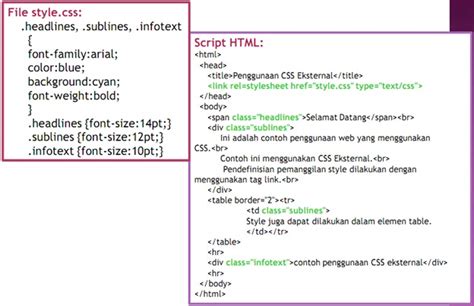 Pengertian Tipe Dan Fungsi CSS Beserta Contoh