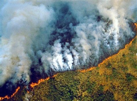 Incendios Forestales En El Amazonas Superan Los En El A O En