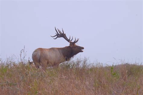 Flickriver Photos From Elk Point Alberta Canada