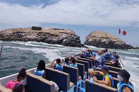 Swimming With Sea Lions In Islas Palomino Lima