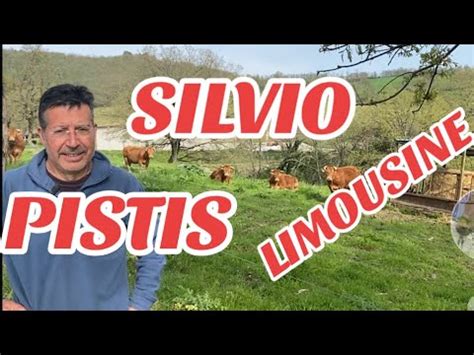 Az Ag Collungo Di Pasti Clemente Vacca Vitello Limousine Ettari