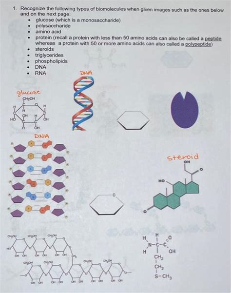 Solved 1 Recognize The Following Types Of Biomolecules When