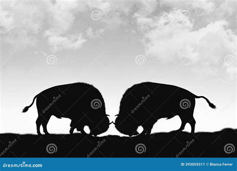 A Silhouette Of Two American Bison Fighting Outdoors Stock Illustration