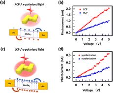 Multiple Polarization Sensitive Photodetector Based On A Plasmonic