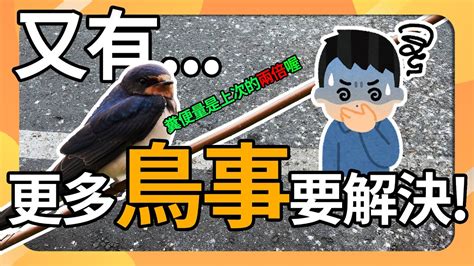 【鳥害問題】又有更多鳥事要解決糞便量是上次的兩倍喔~再次讓鳥類安全搬家｜鳥害｜鳥糞清理｜鳥害防治專家｜台灣鳥害防治中心｜ Youtube