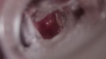 AceAstra Fleshlight Cumshot Compilation Vol XVIDEOS