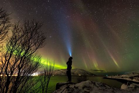 Tromsø Norvegia Tour di caccia all aurora boreale per piccoli gruppi