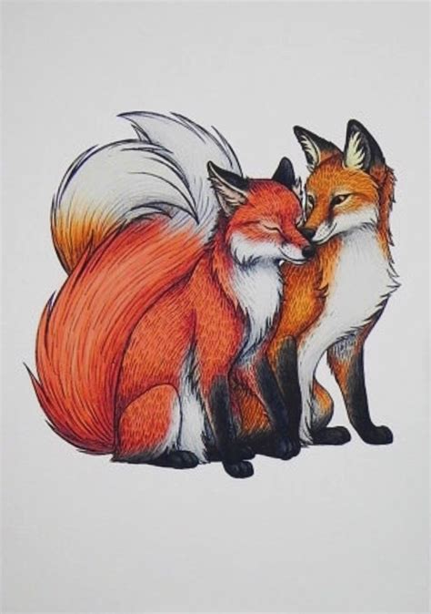 Fox Couple Illustration A4 Print Fox Illustration Fox Artwork Fox