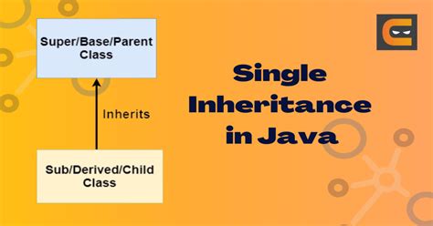 Single Inheritance In Java With Examples Coding Ninjas