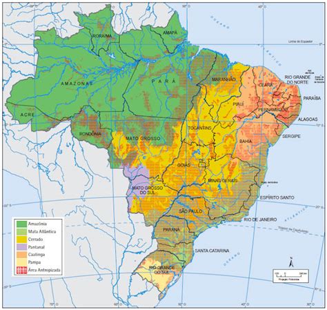 Vegetação do Brasil tipos características mapa Mundo Educação