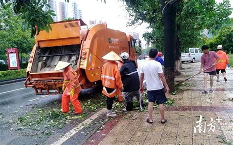 台风“暹芭”离开后，电白环卫人争分夺秒全力恢复市容环境绿化垃圾工作