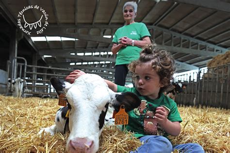 Programa De Las Jornadas T Cnicas De Vacuno De Leche De Seragro