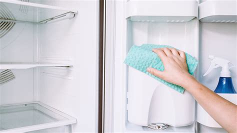 The Ultimate Guide To Cleaning Your Refrigerator Long Island Maids