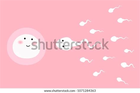 Sperm Egg Vector Illustration Stock Vector Royalty Free 1071284363