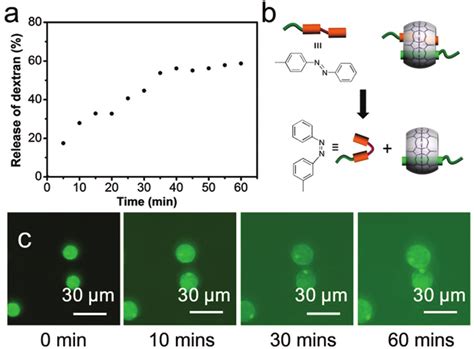 A The Release Profile Of Kda Fd Cargo From Microcapsules Over H