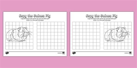 Copy The Guinea Pig Worksheet Teacher Made Twinkl