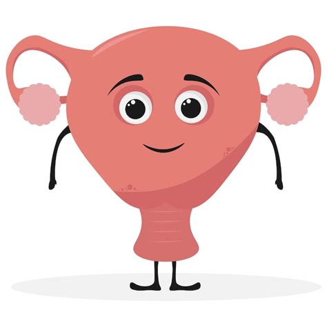 Premium Vector Uterus Cartoon Human Body Organ Character Isolated