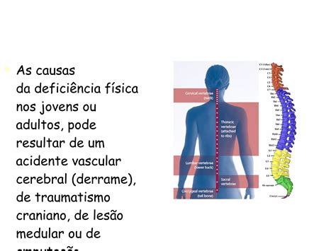 Deficiencia Fisica Ppt