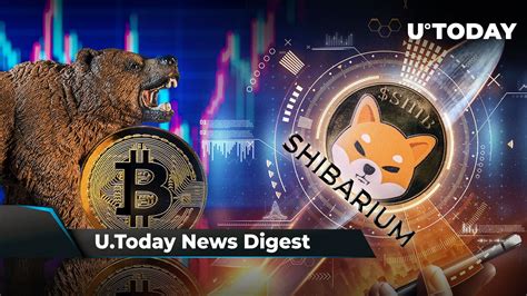 Ripple Ally Final Judgment Out Bitcoin Bear Market Over Shibarium