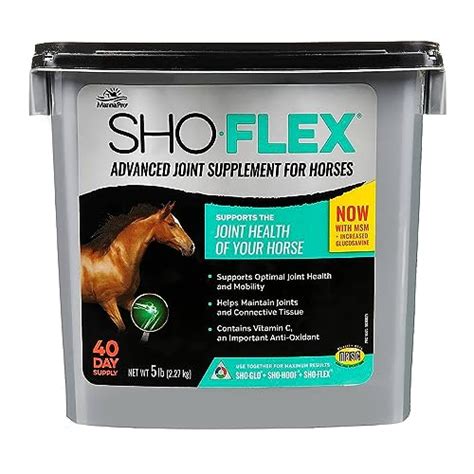 Top 10 Best Joint Supplement For Horses Reviews And Buying Guide Katynel