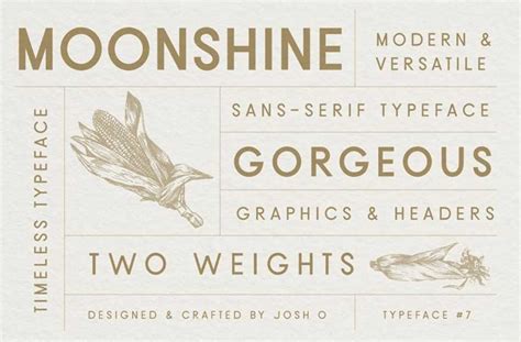 Moonshine Font Dfonts