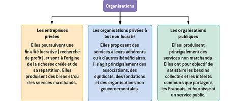 Comment appréhender la diversité des organisations digiSchool