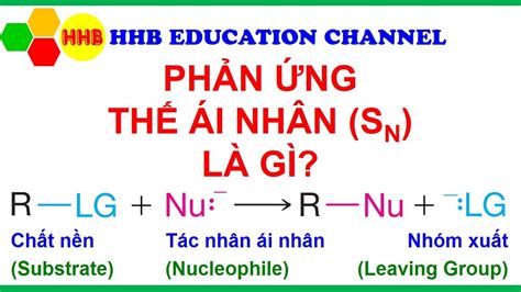 Phản Ứng Là Gì Khám Phá Các Loại Phản Ứng Trong Đời Sống Và Khoa Học