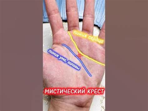 Знаки Мага на руке‼️ МИСТИЧЕСКИЙ КРЕСТ на ладони ️ #palmistry # ...