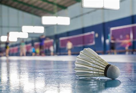 Terrain Badminton Banque Dimages Et Photos Libres De Droit Istock