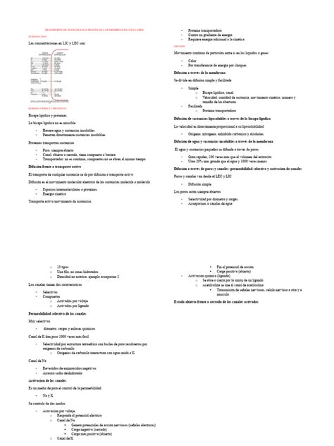 Transporte De Sustancias Pdf Difusión Potencial De Acción