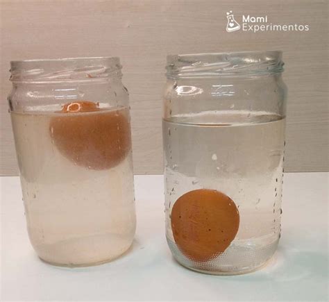 Aprendiendo Sobre La Densidad Del Agua Con El Huevo Flotante