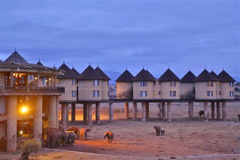 Salt Lick Safari Lodge Hotel Tsavo National Park West Kenya Tarifs 2022 Mis à Jour Et 156