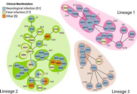 Comparative Genomics Of Listeria Monocytogenes Isolates From Ruminant