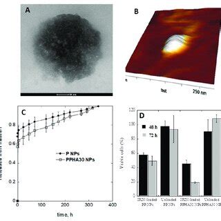 Hyaluronic Acid Decorated Nanoparticles Loaded With Quercetin And