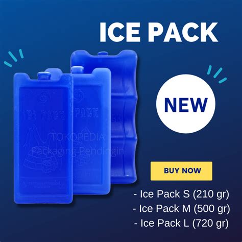 10 Rekomendasi Ice Pack Terbaik Paling Dicari Bikin Makanan Awet Tanpa