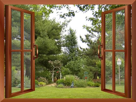 Beautiful Garden Backyard View From Inside A Window Removable Wall