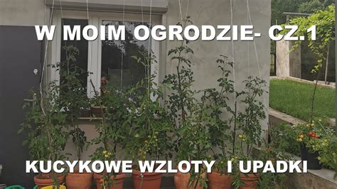 W MOIM OGRODZIE CZ 1 KUCYKOWE WZLOTY I UPADKI YouTube