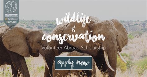 Ivhq Wildlife And Conservation Volunteer Abroad Scholarship 2018 Opportunity Desk