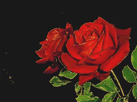 gif rose