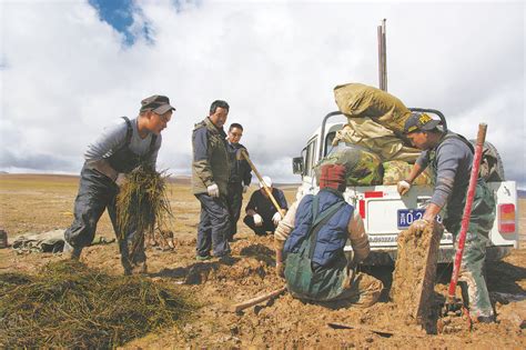 【奋进新征程 建功新时代】大爱守护可可西里——记全国“人民满意的公务员集体”三江源国家公园管理局长江源（可可西里）园区国家公园管理委员会