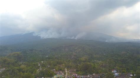 Kali Kebakaran Sejak Akhir Agustus Ribuan Hektare Hutan Lindung